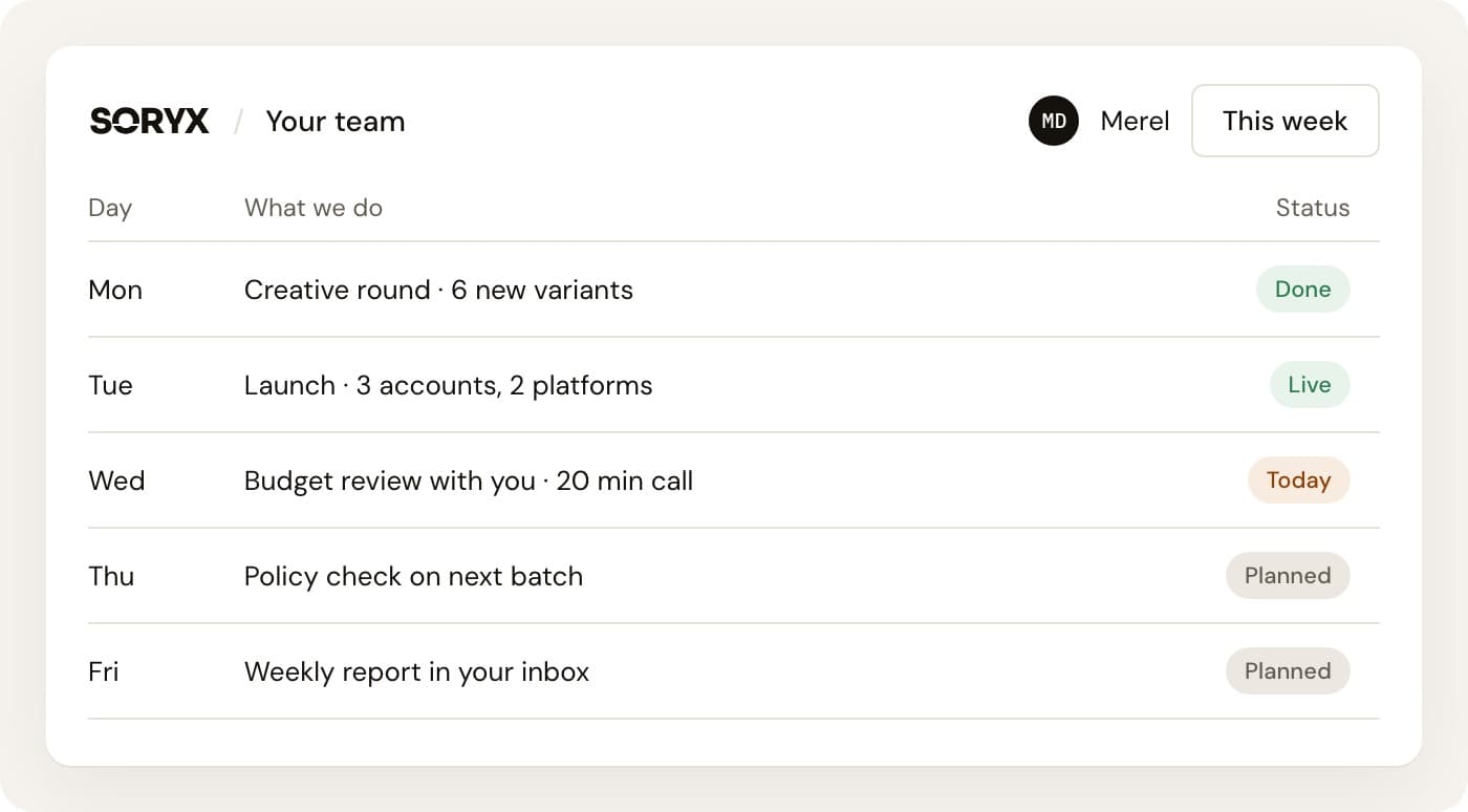 Weekly plan screen: creative round, launch, budget review, policy check, report